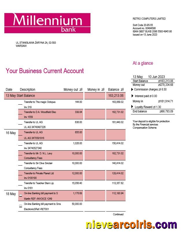 Millenium Bank enterprise statement